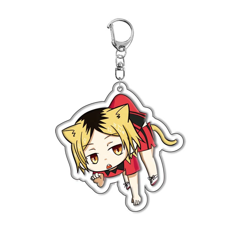 Haikyuu!! Hinata Shoyo Acryl-S – Anime Merchandise Keychains Bewertung und Preis